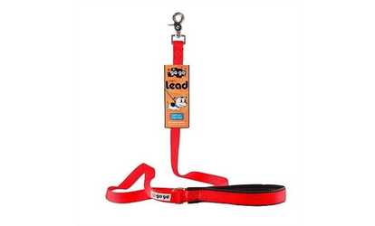 GoGo 15038 Large 1 In. X 4 Ft. Red Comfy Nylon Leash