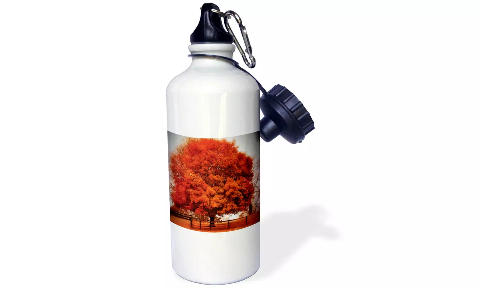  Water Bottle Falling Down Fall Trees in Georgia with colors that pop  - Primary Image