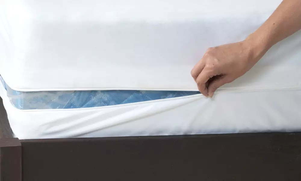 Remedy Dust Mite and Bed Bug Protector for Box Spring, Mattress or Pillows - Primary Image