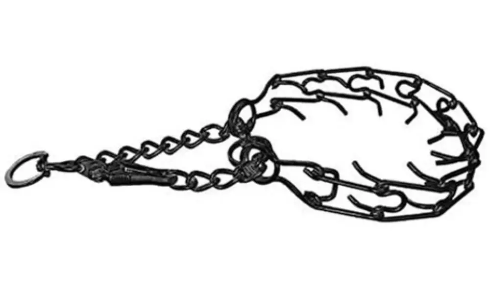 Dog Prong Pincher Training Collar (Silver or Black) - Primary Image