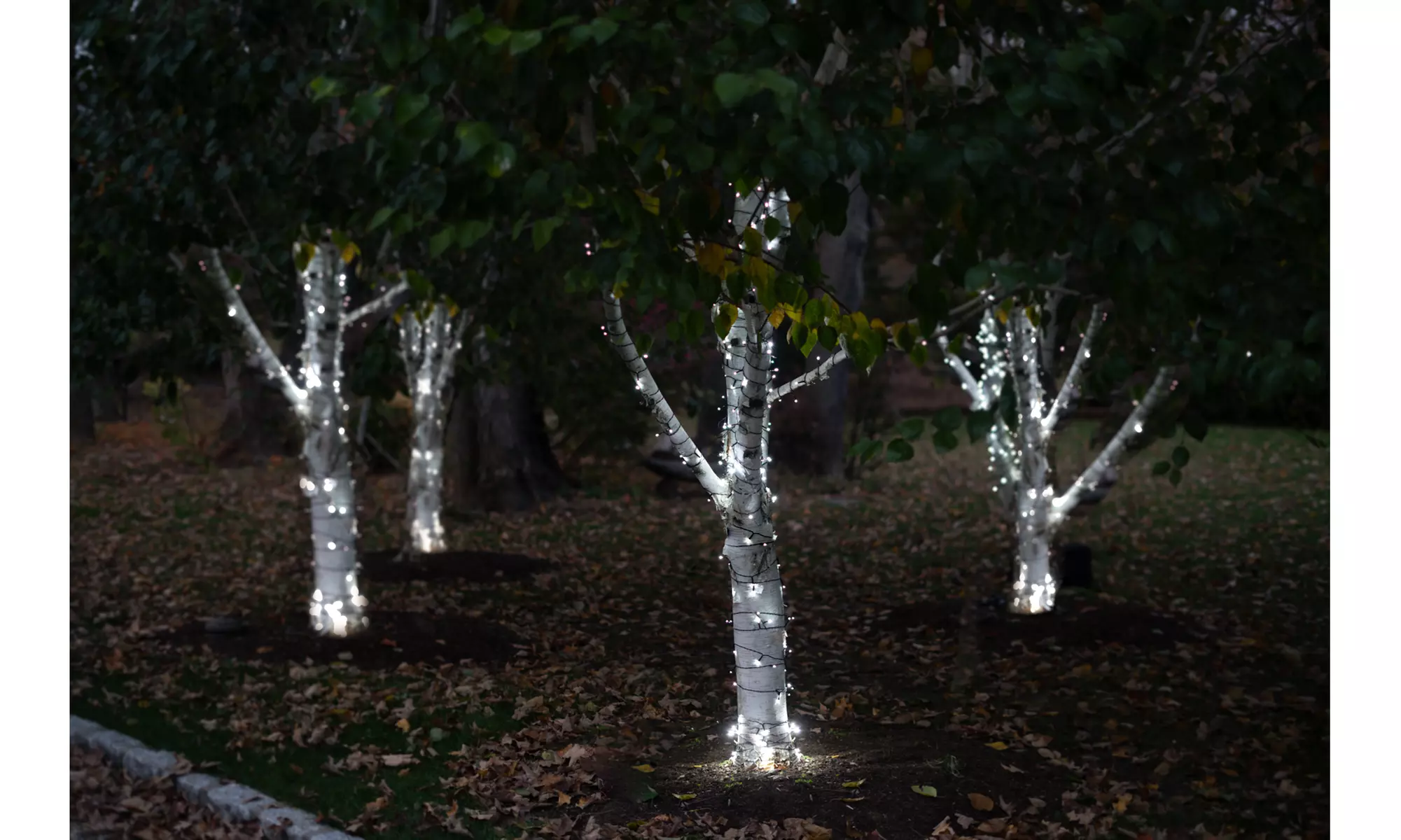 125LED Solar Powered String Lights. Multiple Colors & Quantities Available. 