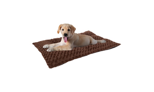 Groupon shop pet bed