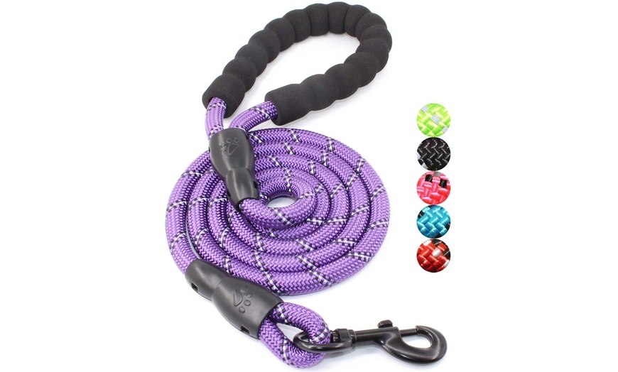 baapet strong dog leash