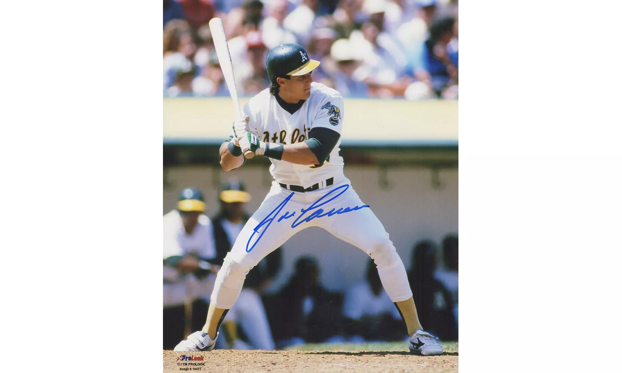 Jose Canseco Signed Oakland A's (Athletics) White Jersey Action 8x10 Photo - Primary Image