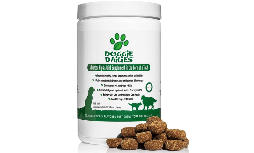 Doggie dailies outlet glucosamine