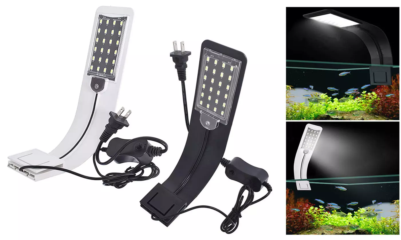 Aquarium Clip on Led White and Blue Colored Light - Primary Image
