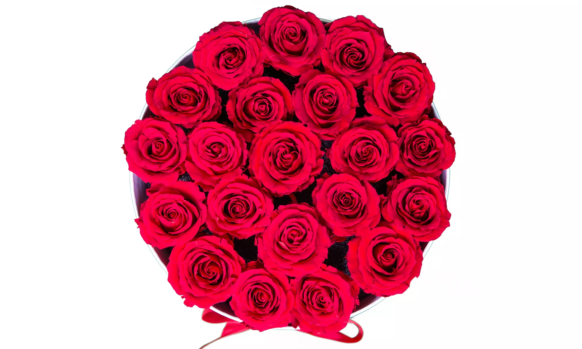 MILANO ROSE Classic Red Eternity Roses - Second Medium