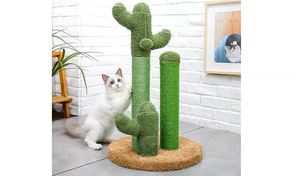Cat Scratching Post Cactus Cat Scratcher Interactive Dangling Ball Cat Toy - Primary Image