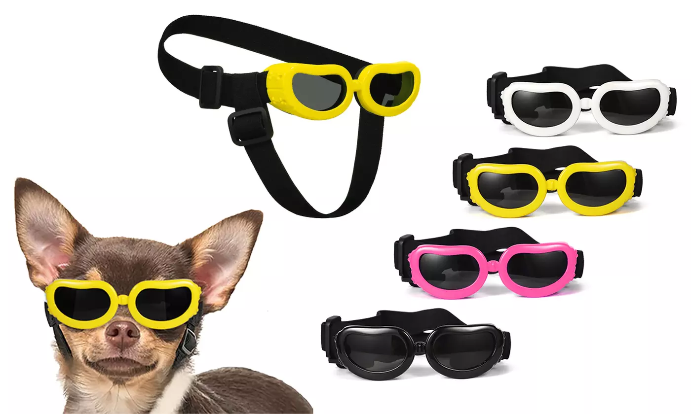 Adjustable Pet Dog Goggles Sunglasses UV Windproof for Small Dog Cat - Primary Image