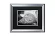 PIPA Fine Art 'Dew on Leaf of Rose Plant' Matted Silver Framed Art - Second Medium