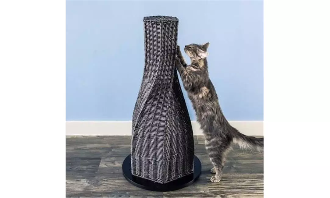 The Refined Feline Groupon Goods - Main Image