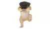 Climbing Pug Daisy Decor.