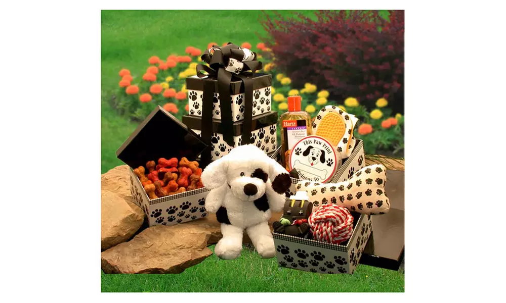 Gift Basket Drop Shipping Patches' Doggie Tower - Second Medium