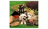 Gift Basket Drop Shipping Patches' Doggie Tower