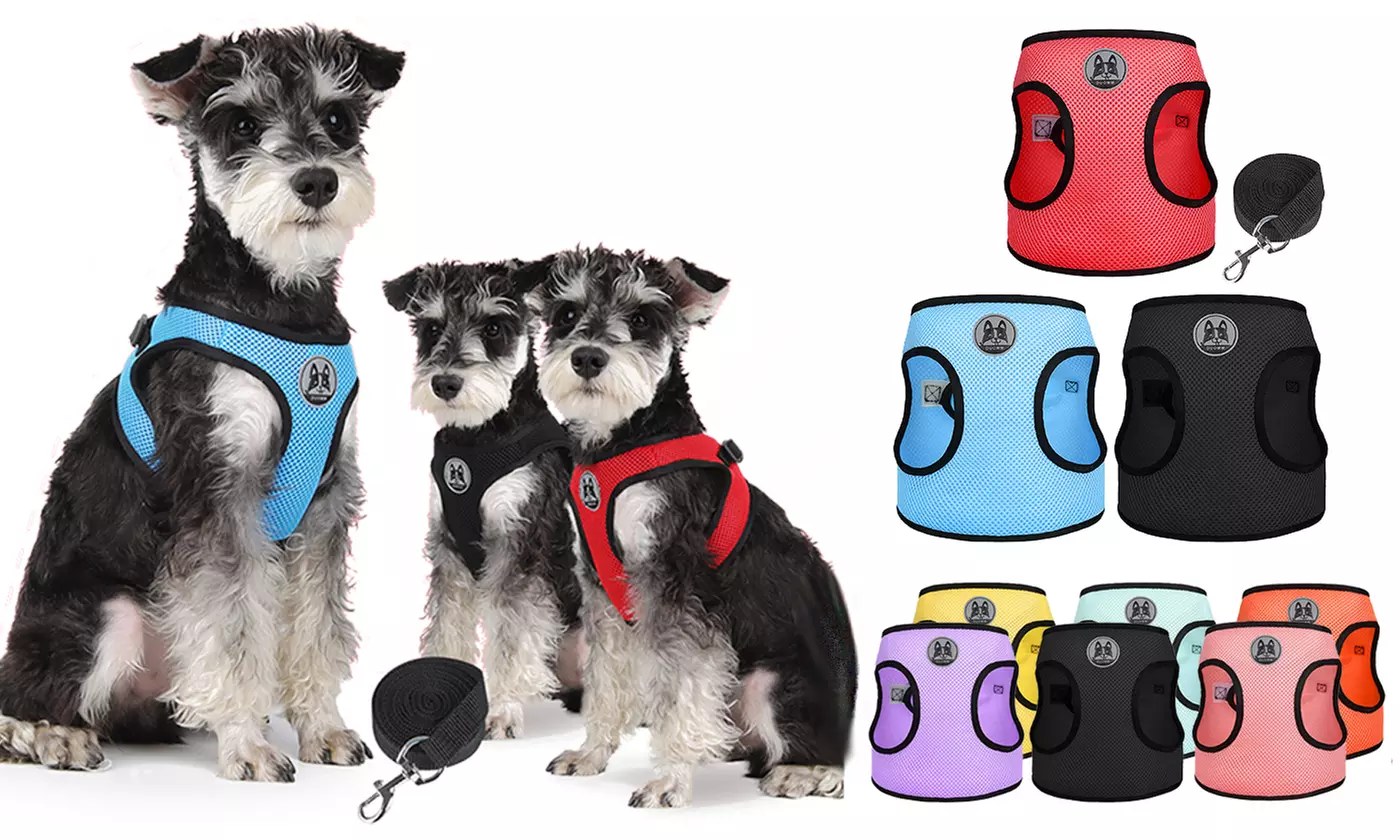3 Pack Pet Mesh Adjustable Reflective Small Dogs Puppy Vest Harness with Leash - Primary Image