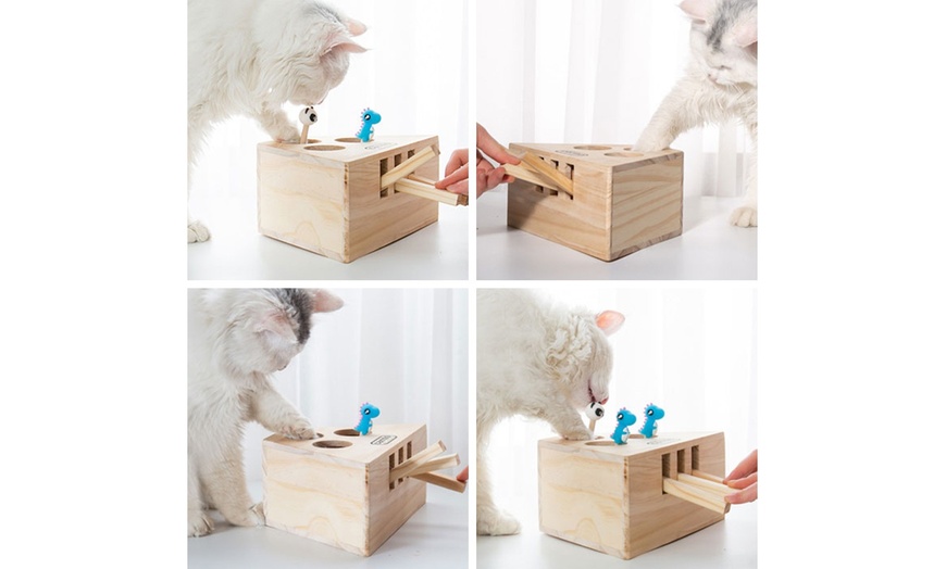 cat hunt toy