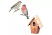 Wooden Birdhouse Garden Outdoor Decor Bird Cages Houses Paint Yourself - Second Medium