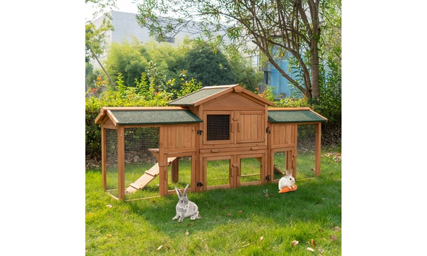 Groupon clearance rabbit hutch