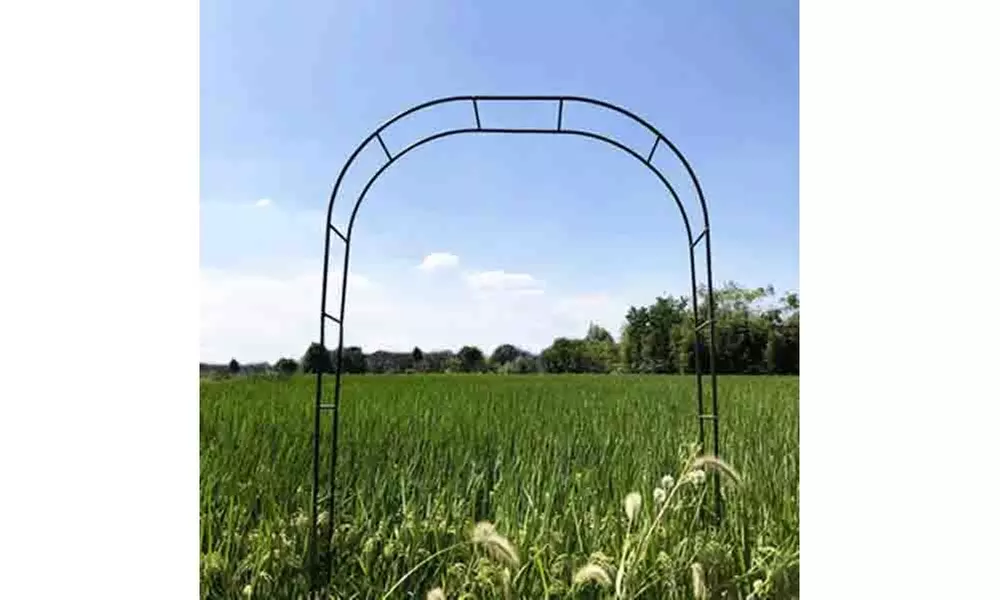Garden Arch Trellis,Adjustable Arbor Trellis for Garden Climbing Plants Support 