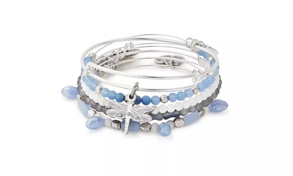 Alex and Ani DRAGONFLY SET OF 5 Shiny Silver Charm Bangles New W/Tag Card & Box - Second Medium