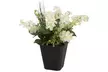 Pure Garden 6" Flower Pots (1- or 4-Pack) - Second Medium