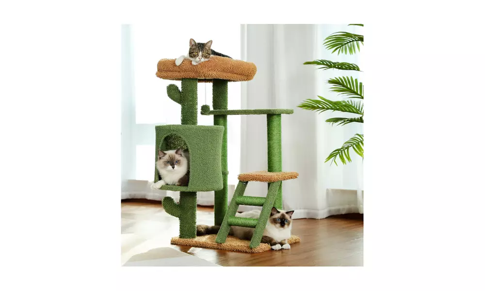 Desert Cactus Cat Tree Ladder Multi Levels Condo - Primary Image
