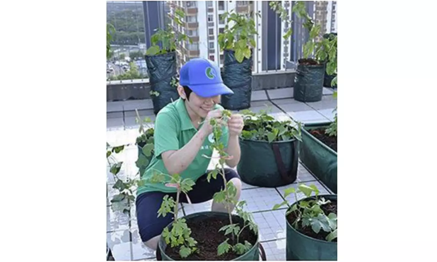 New Potato Grow Container Bag Planter Vegetable Growing Garden Planting Grow Bag - Second Medium