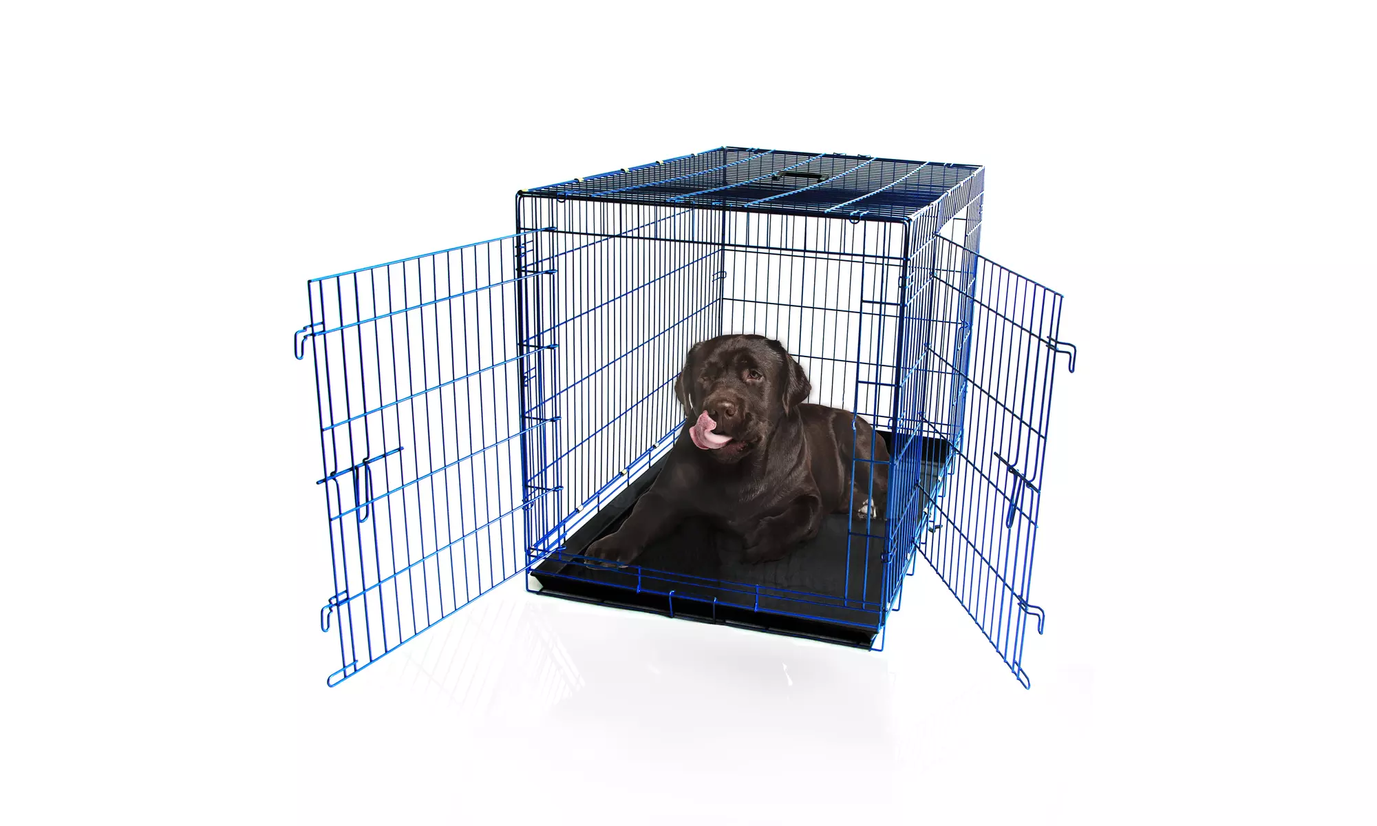 48" Colorful Folding 2 Door Wire Dog Crate - Available in Pink, Blue and Green - Primary Image