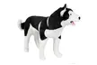 Large Husky Dog Plush Animal Realistic Soft Stuffed Toy Pillow Pet - Second Medium