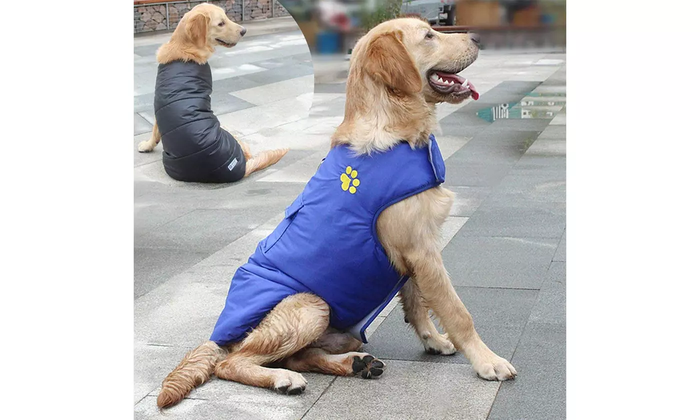 Waterproof Dog Vest Warm Winter Coat Jacket for Small Medium Large Dogs