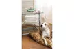 Hamilton Beach TrueAir Air Purifier - Second Medium