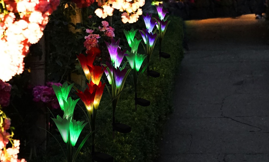 Up To 85% Off on 2-Pack Solar Power Lily Flowe... | Groupon Goods