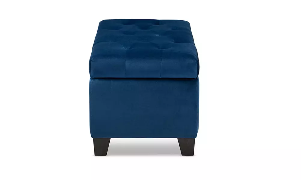 Michaela Velvet Fabric Upholstered Storage Ottoman - Primary Image