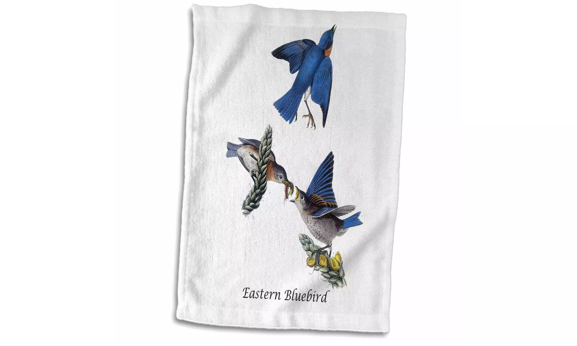  Towel - Eastern Bluebird by John James Audubon - 15 by 22-inches  - Primary Image