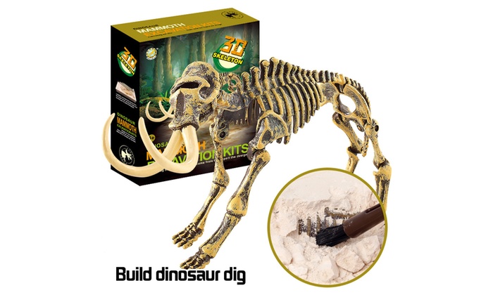 dinosaur toy skeleton fossil excavation