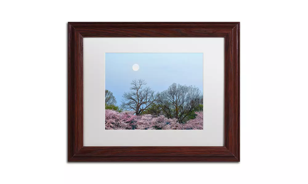 CATeyes 'Spring Moon 2' Matted Wood Framed Art - Primary Image