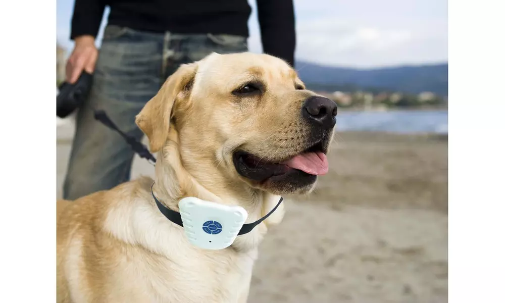 Ptle Non-Shock Safe Anti-Bark Collar - Second Medium
