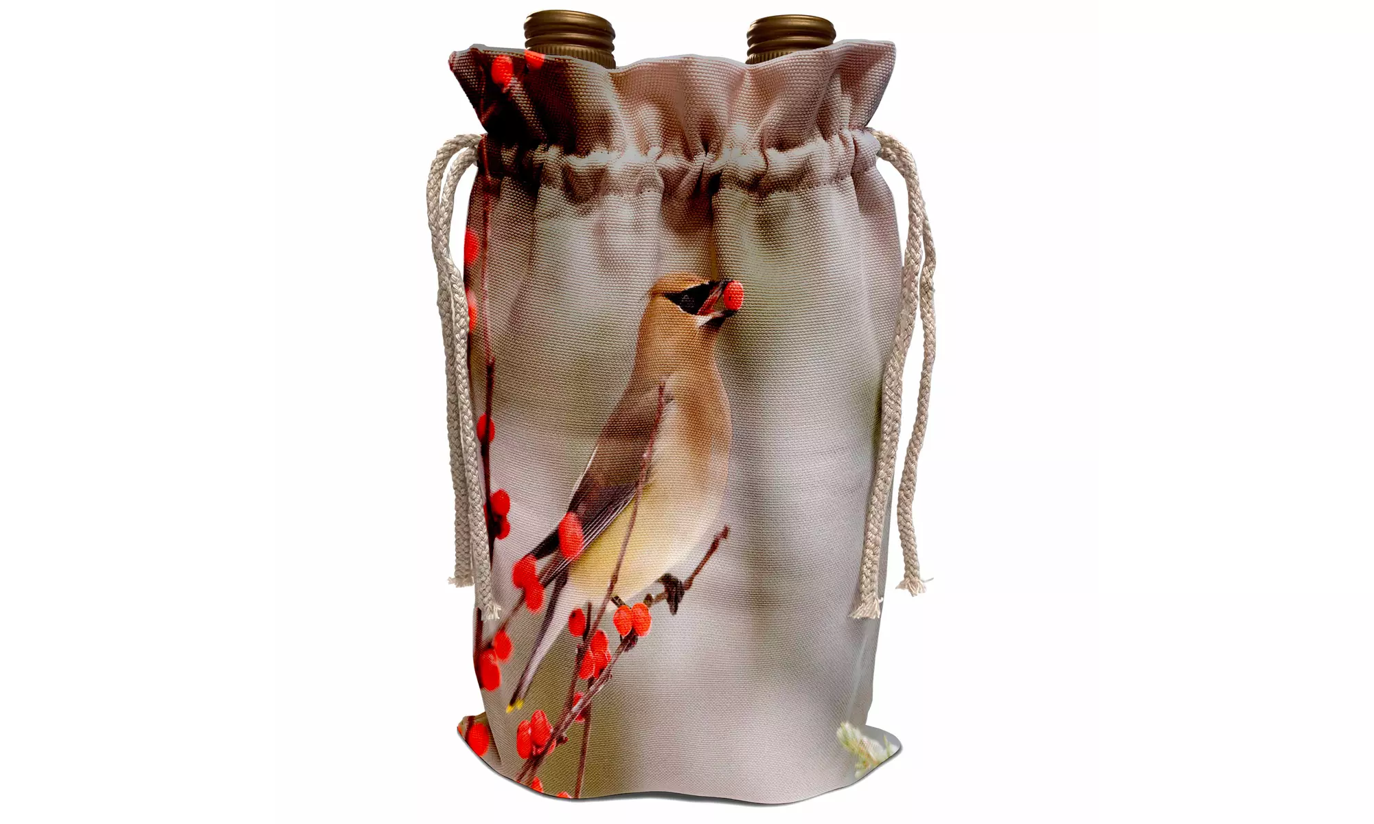  Wine Bag Cedar Waxwing eating Common Winterberry, Marion, Illinois, USA - Primary Image
