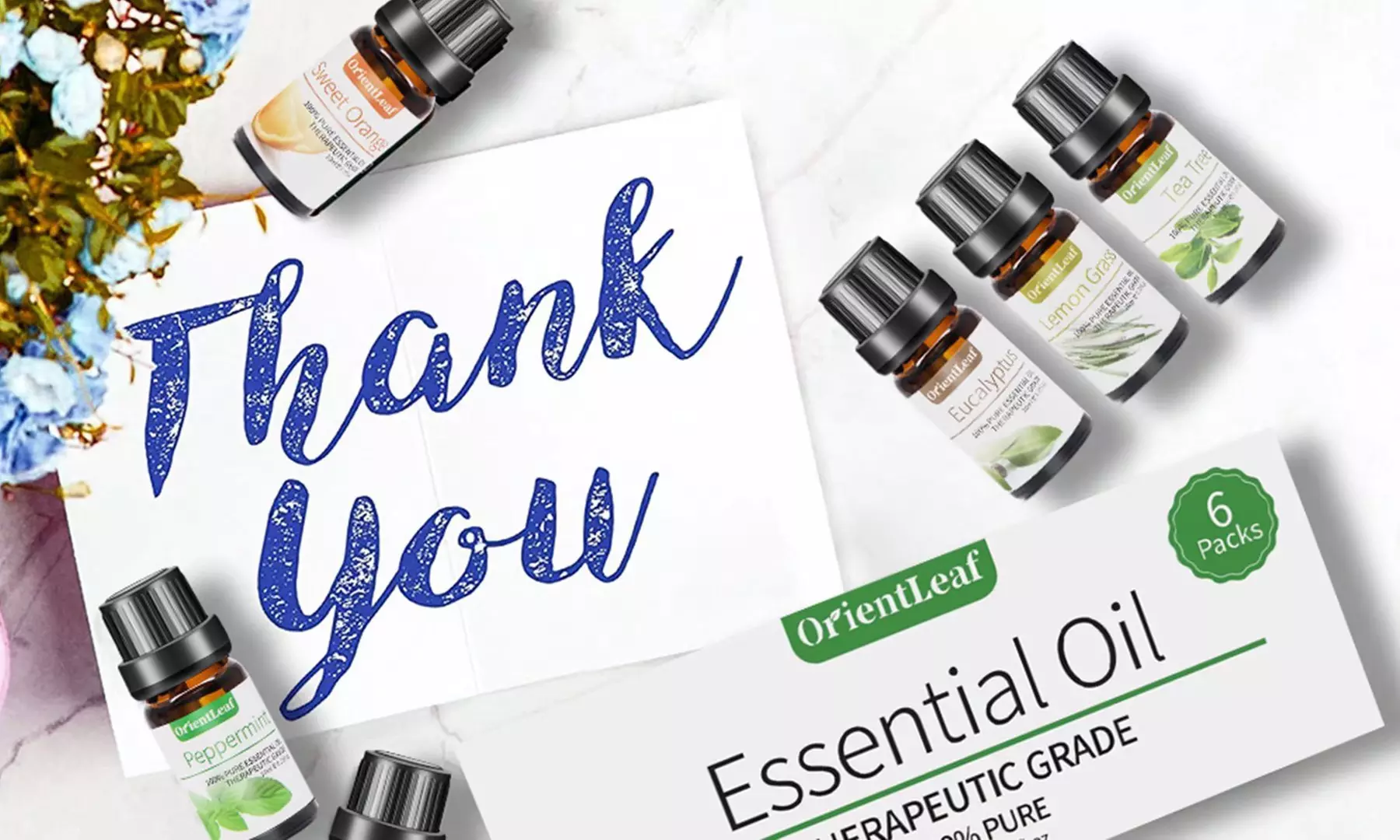 OrientLeaf 100% Pure Essential Aromatherapy Oils Gift Set (6 x 0.35 oz) - Second Medium