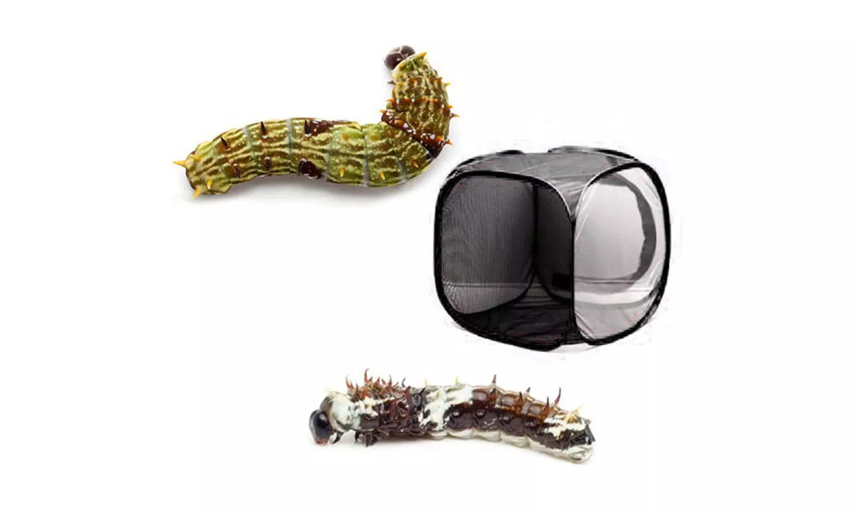 Portable Foldable Insect And Butterfly Habitat Cage Housing Enclosure - Second Medium