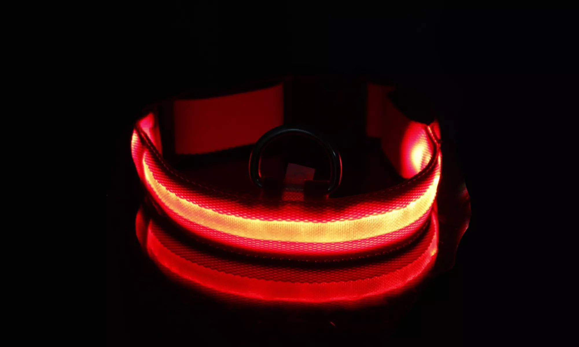 SAFETY LED Dog Pet Light Up Collar Night Glow Adjustable Bright 5 Color Leash