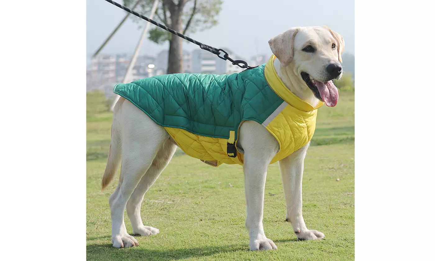 Winter Warm Quilted Dog Jacket, Waterproof Padded Coat Puppy Coat 