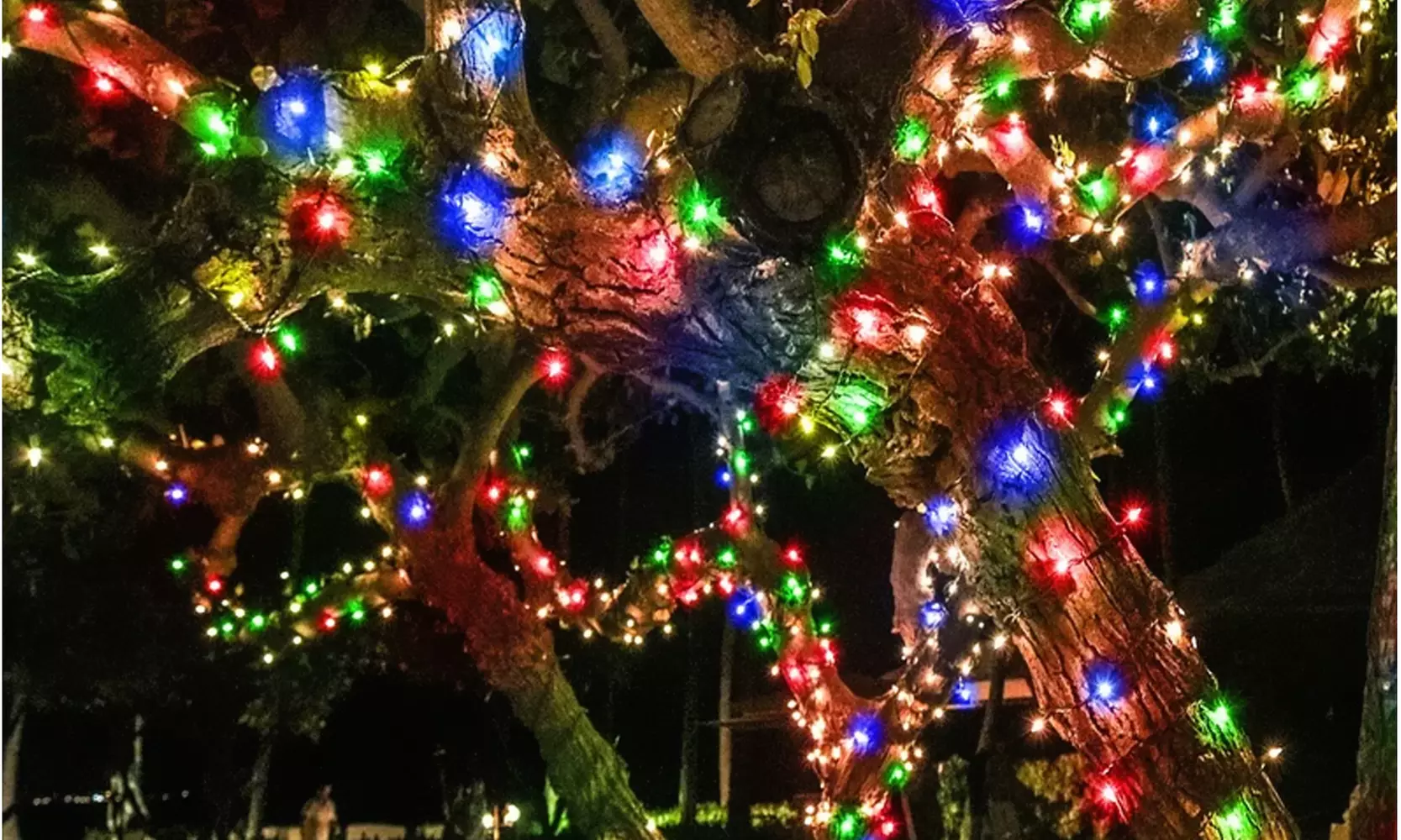 100-LED Multi-color Solar Powered Fairy String Lights - Primary Image