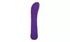 Adam Eve Eve Orgasmic G Silicone Vibrator - Purple