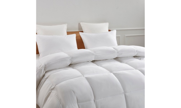 Groupon feather duvet sale