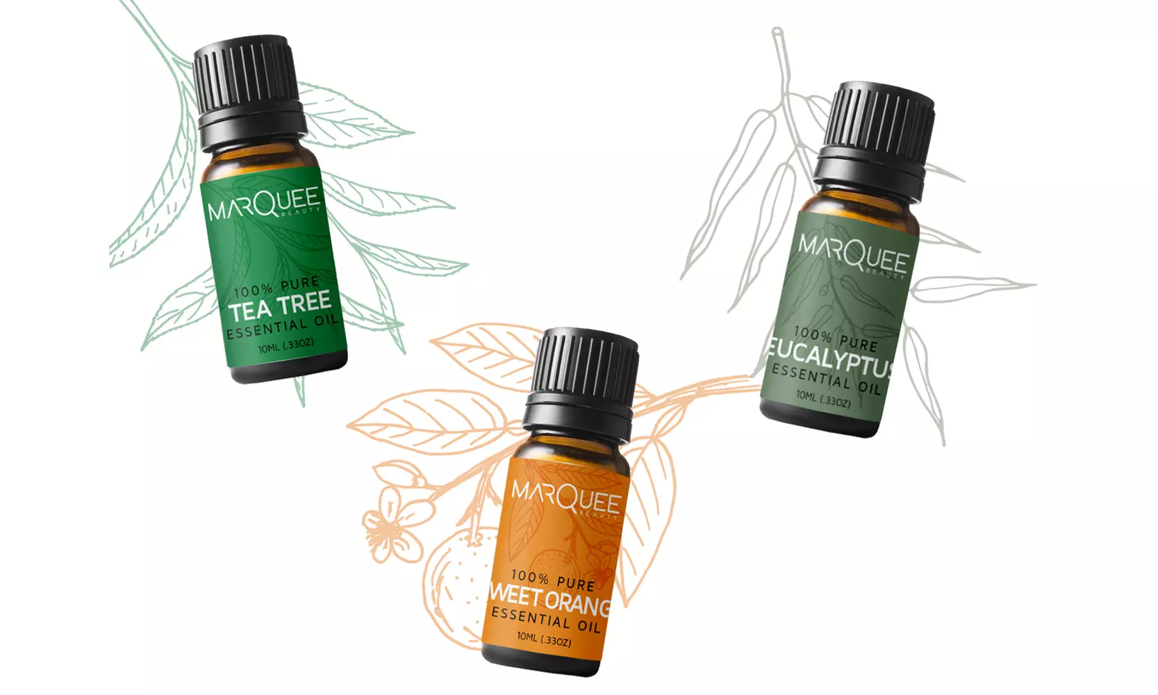 Marquee Essential Oils (6 Bottles)