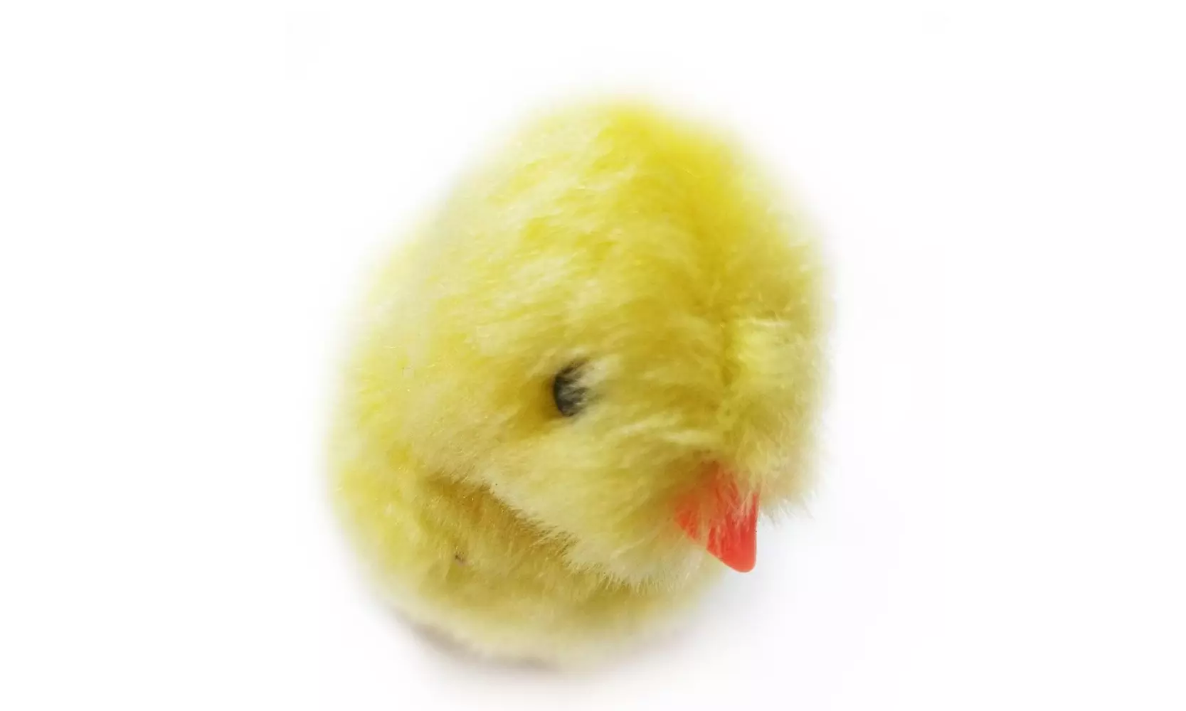 Magic Chirping Chicks - Primary Image