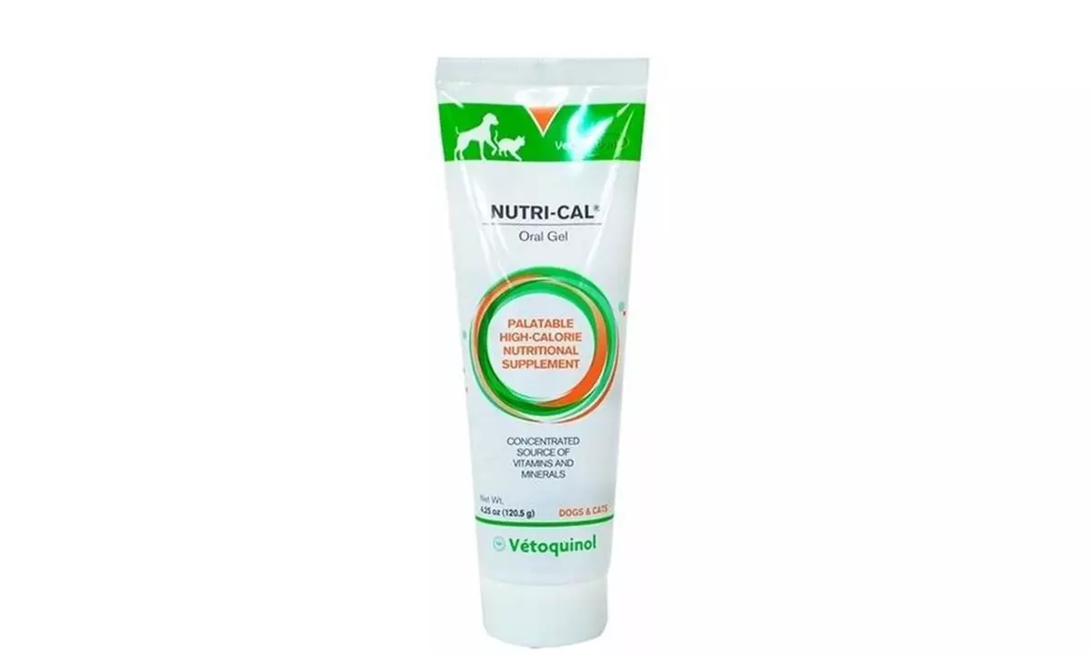 Vetoquinol Nutrical Oral Gel Vitamins Supplements Dog Supplies - Primary Image