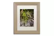 Philippe Sainte-Laudy 'King of the Woods' Matted Birch Framed Art - Second Medium