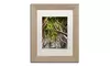 Philippe Sainte-Laudy 'King of the Woods' Matted Birch Framed Art